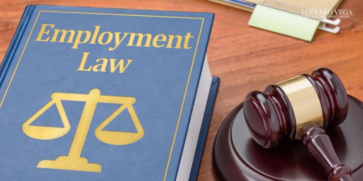 San Clemente Employment Lawyer