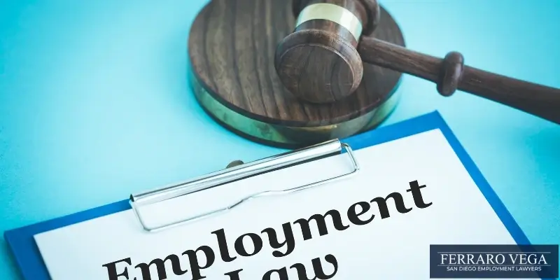 best employment attorney in seattle